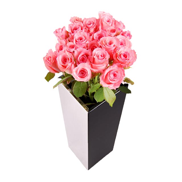 2_dozen_pink_roses_RJ1581_enlarge.jpg