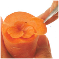 carrot_rose_variety_step2.jpg