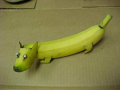 banana_dog.jpg